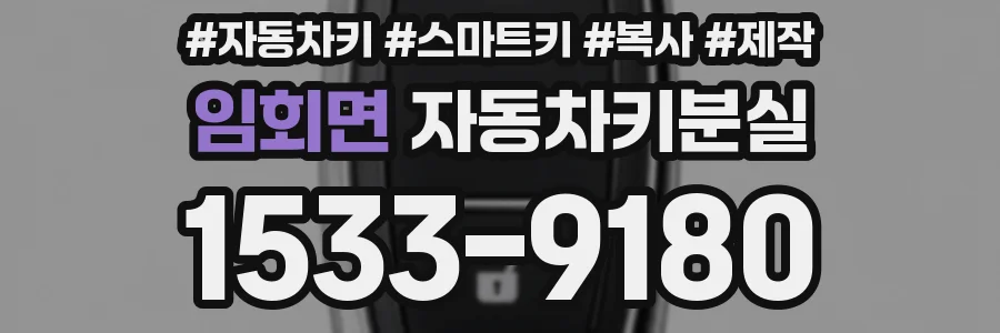임회면 자동차키분실
