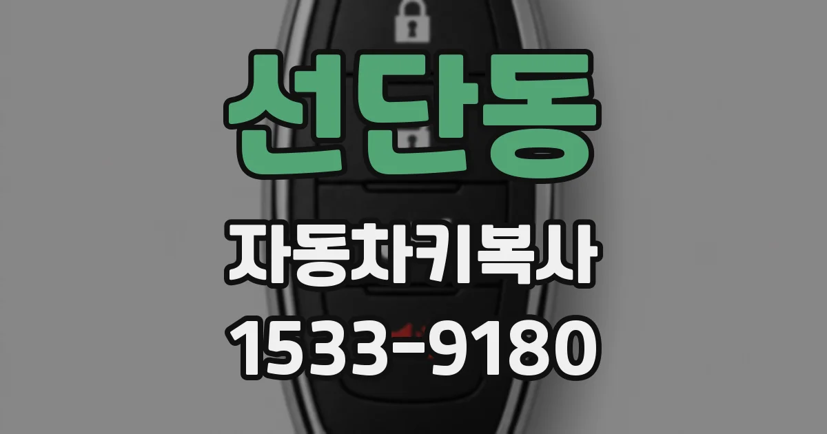 선단동 자동차키복사