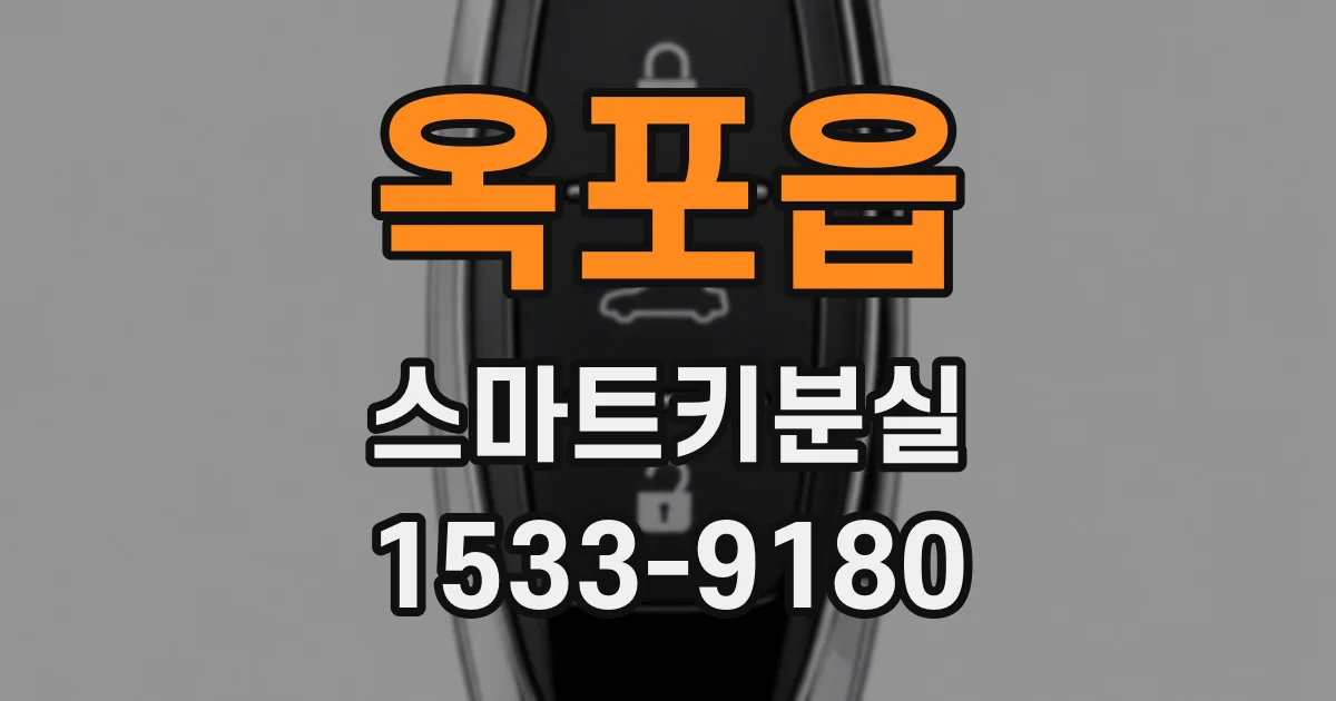 옥포읍 스마트키분실