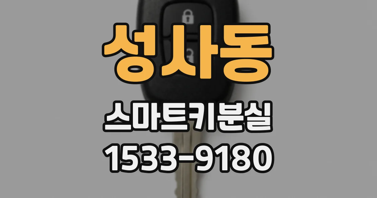 성사동 스마트키분실