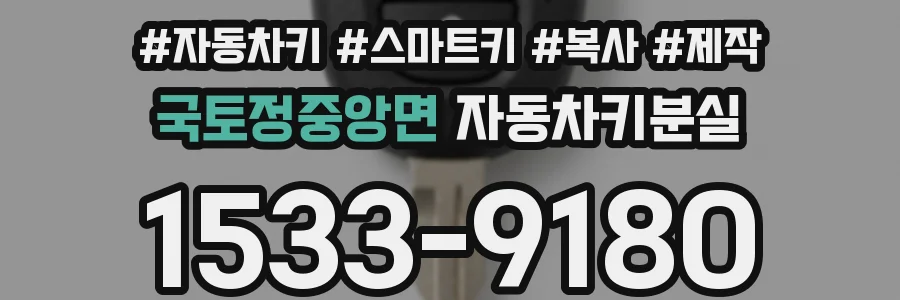 국토정중앙면 자동차키분실