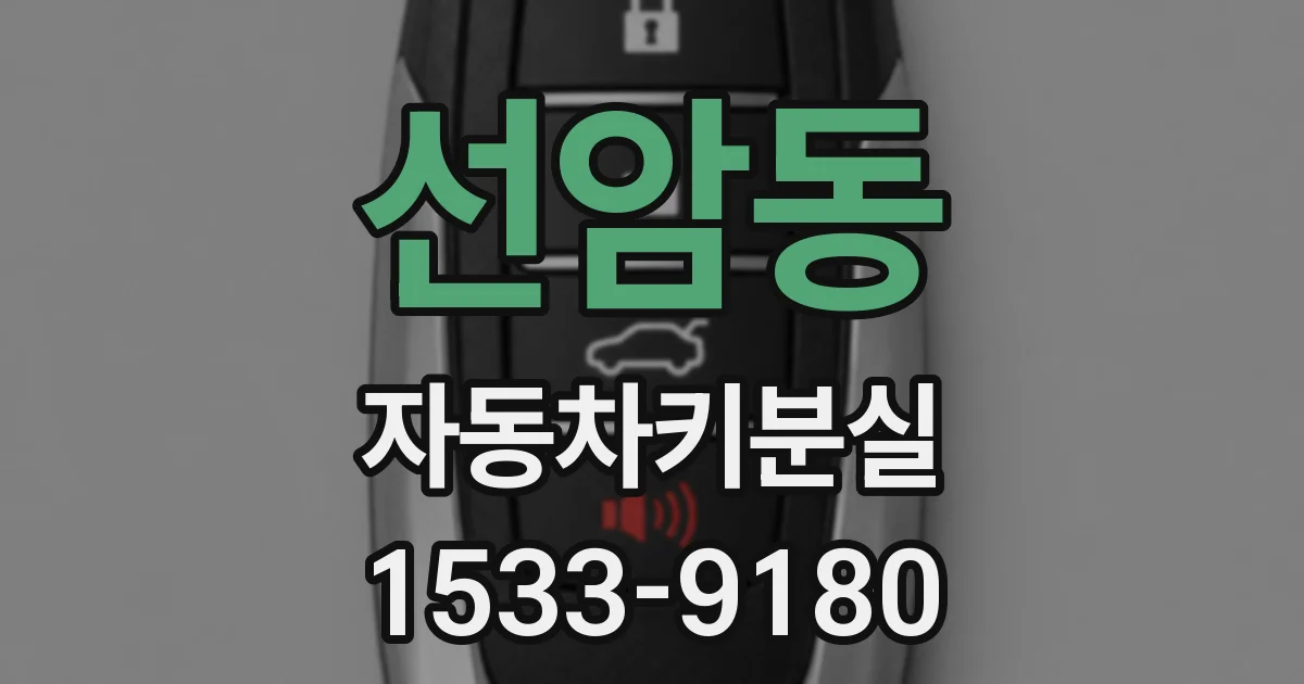 선암동 자동차키분실