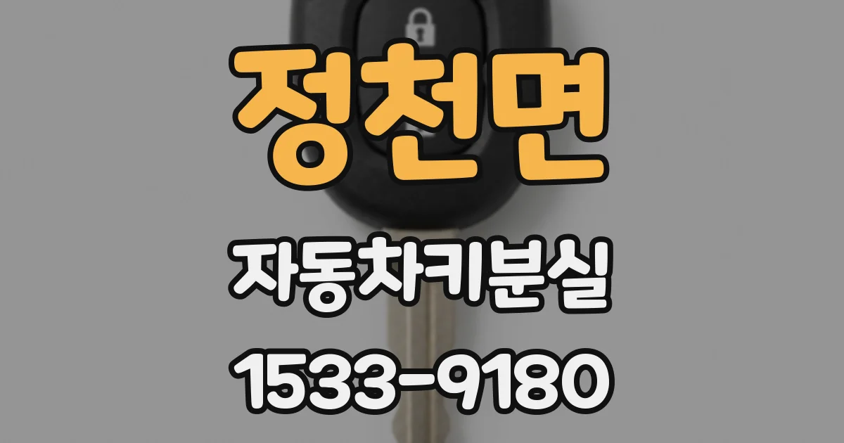 정천면 자동차키분실