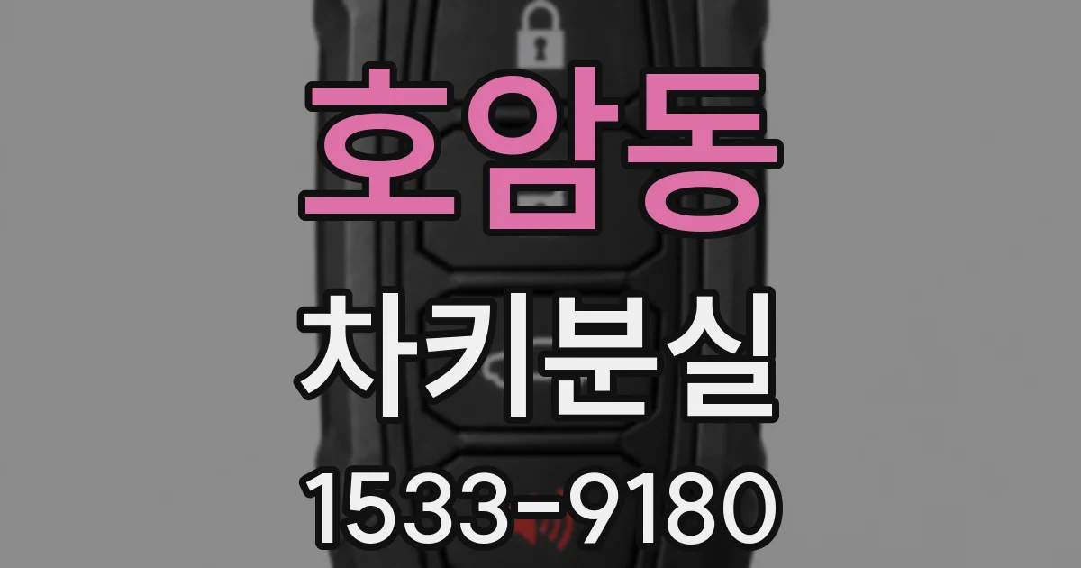 호암동 차키분실