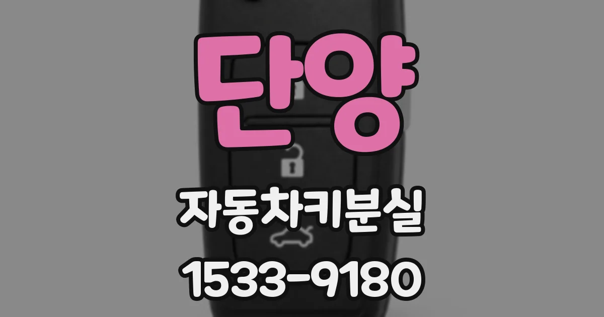 단양 자동차키분실