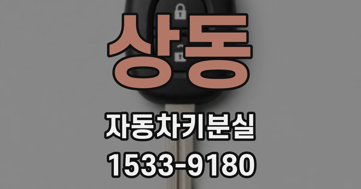 상동 자동차키분실