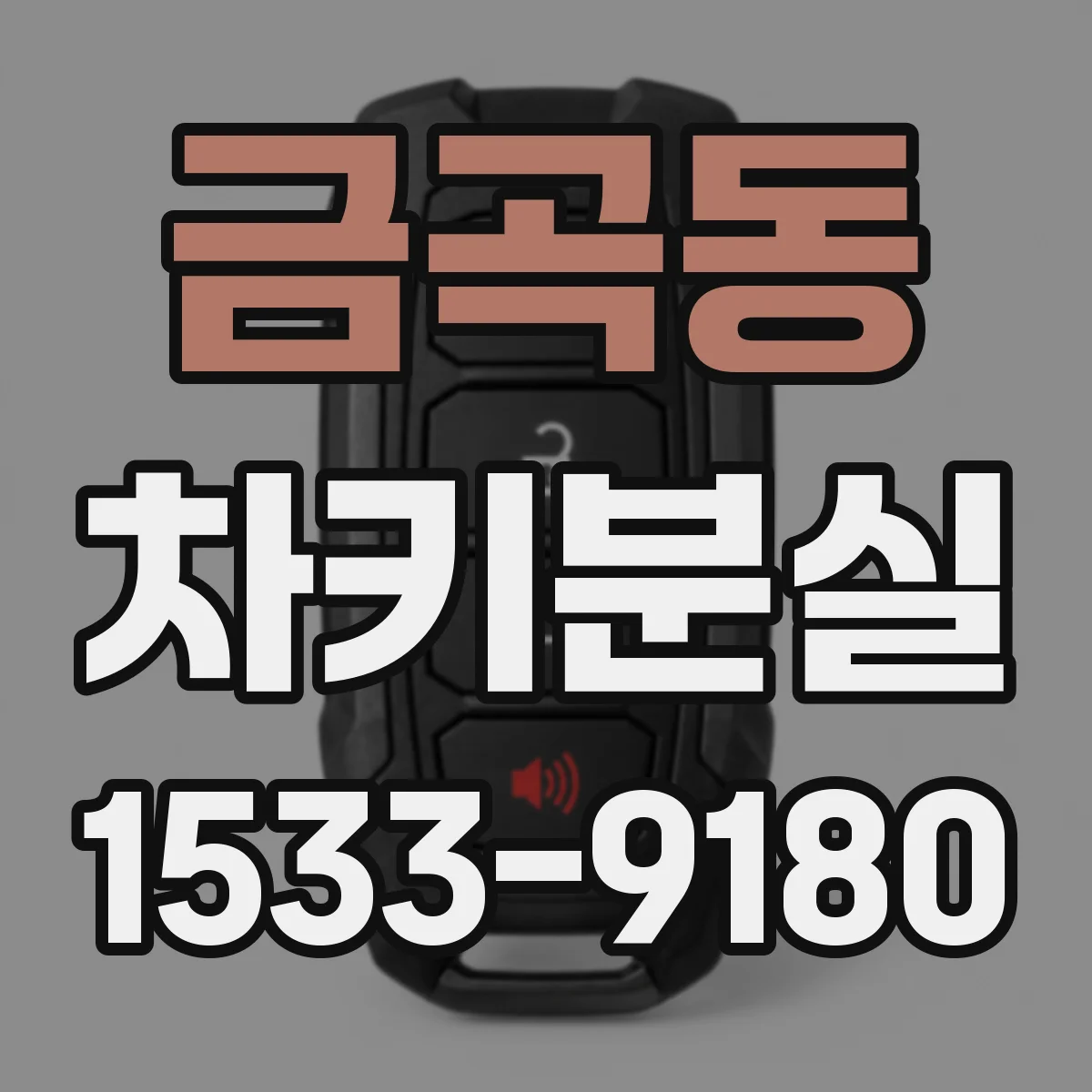 금곡동 차키분실