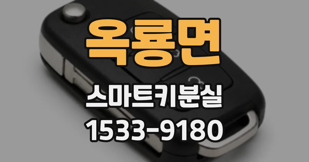 옥룡면 스마트키분실