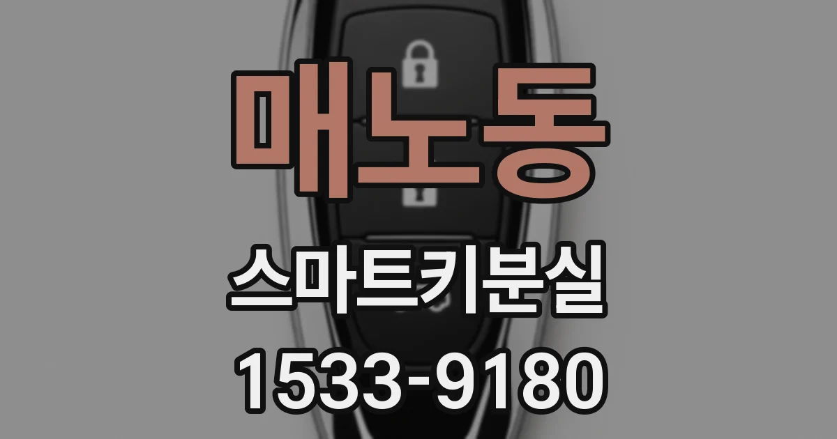매노동 스마트키분실