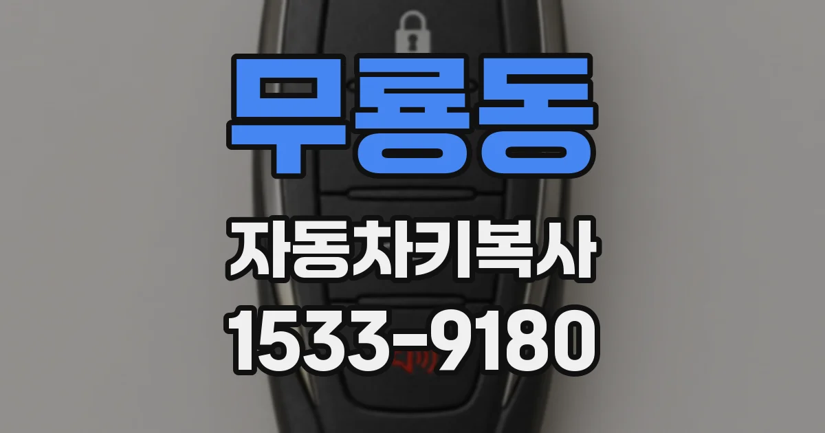 무룡동 자동차키복사