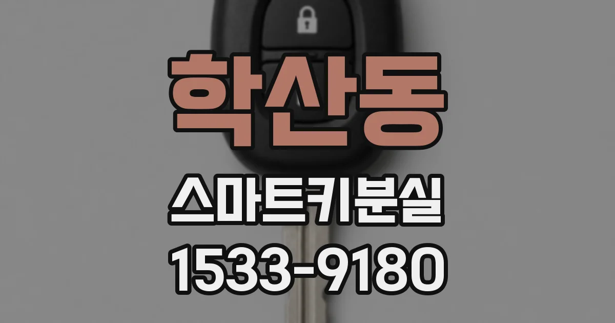학산동 스마트키분실