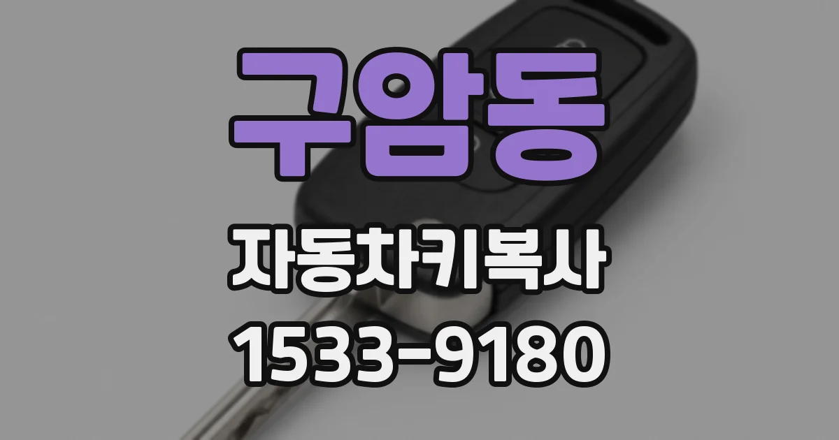 구암동 자동차키복사