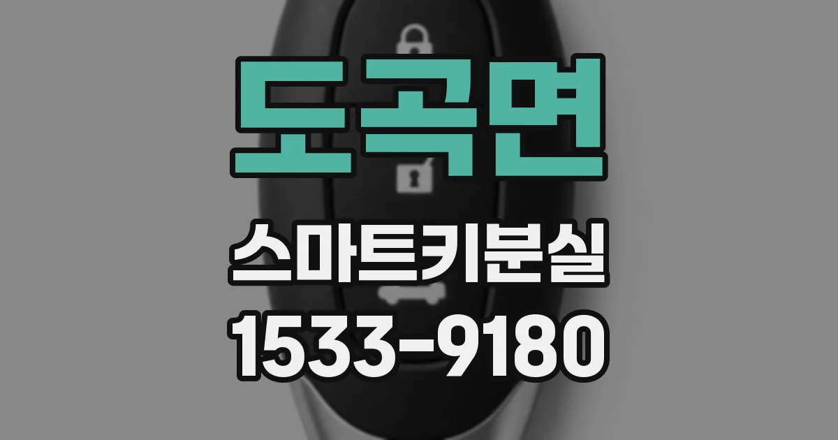 도곡면 스마트키분실