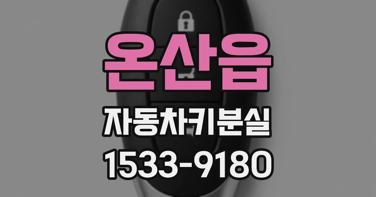 온산읍 자동차키분실