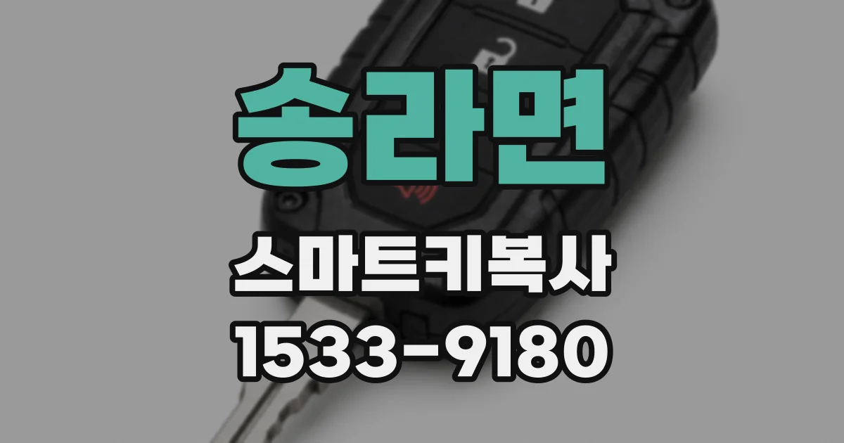송라면 스마트키복사