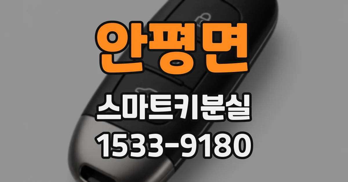 안평면 스마트키분실