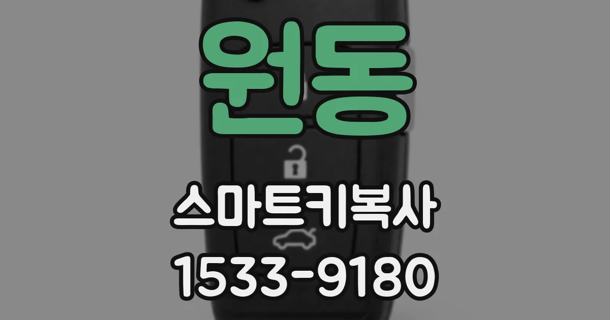원동 스마트키복사