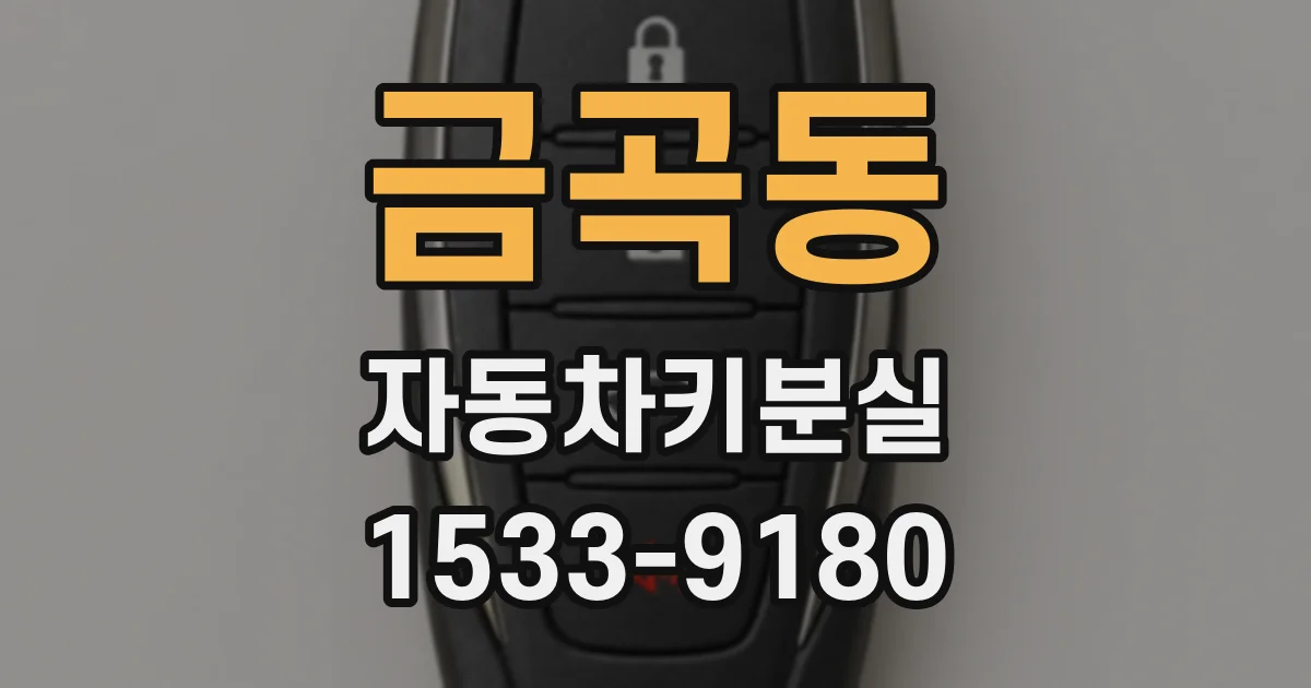 금곡동 자동차키분실