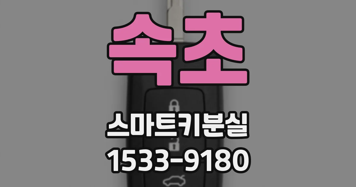 속초 스마트키분실