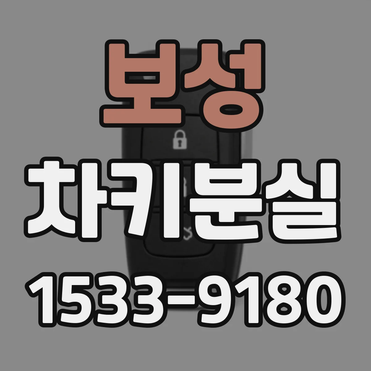 보성 차키분실