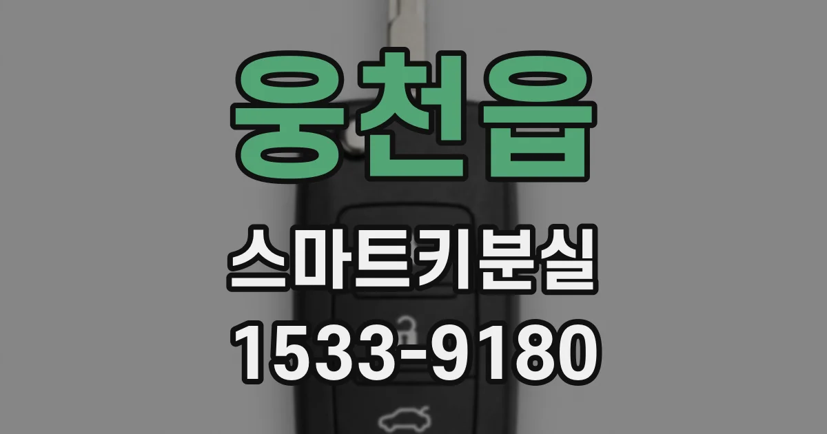 웅천읍 스마트키분실