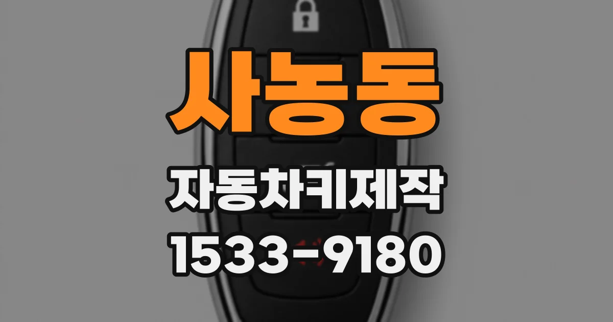 사농동 자동차키제작
