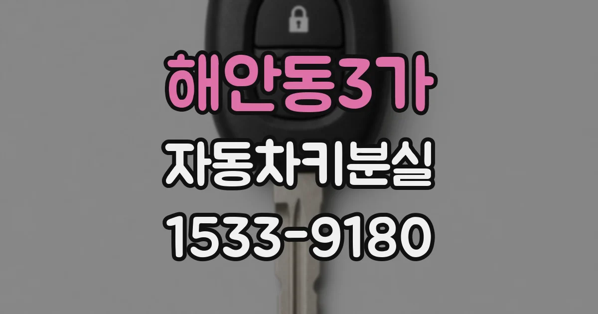 해안동3가 자동차키분실