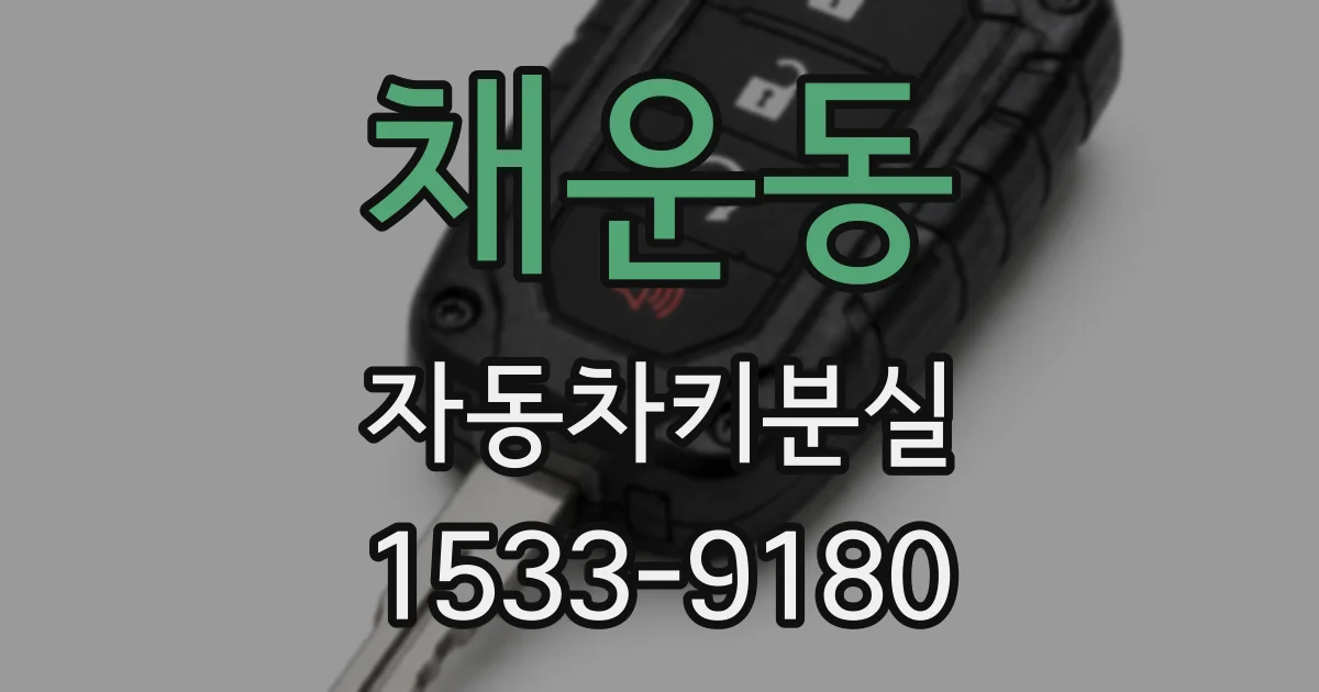 채운동 자동차키분실