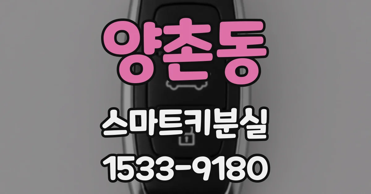양촌동 스마트키분실