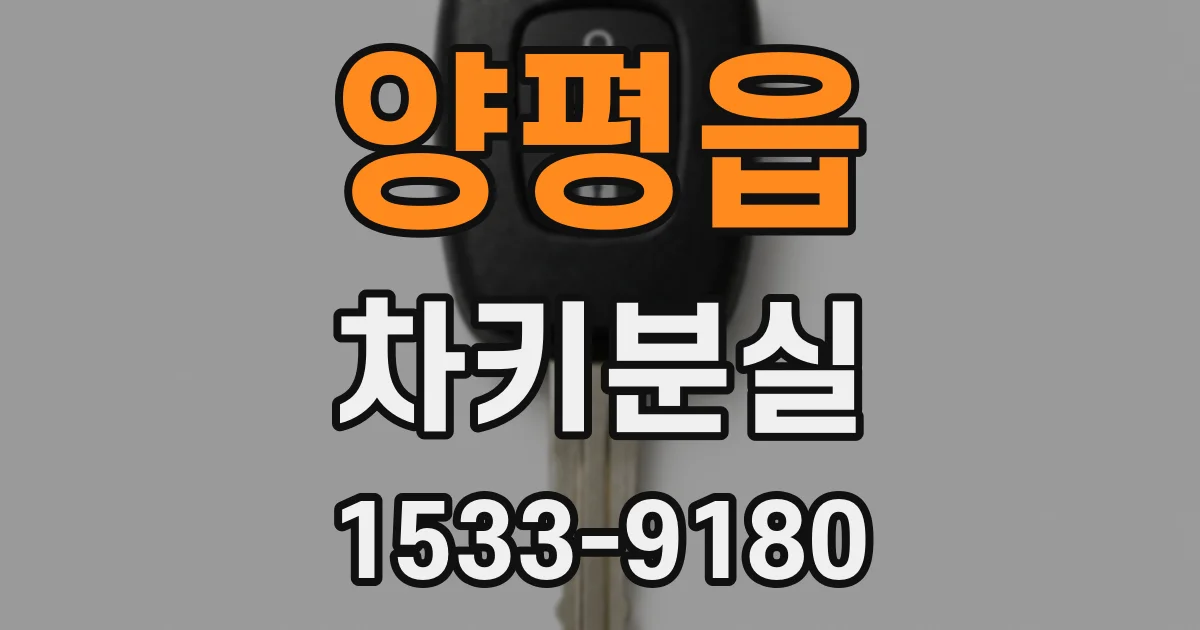양평읍 차키분실