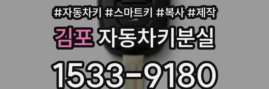 김포 자동차키분실