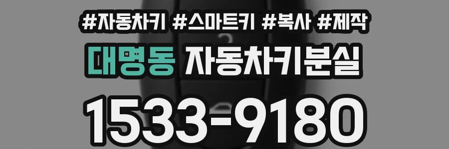 대명동 자동차키분실