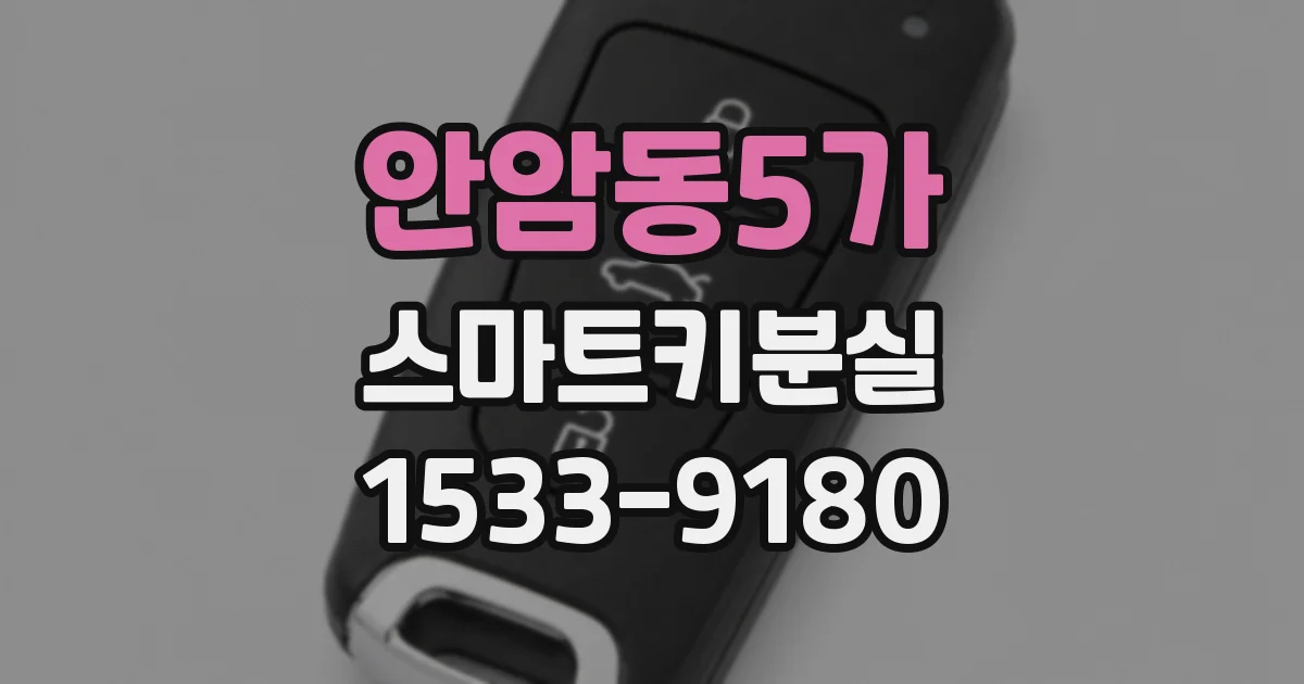 안암동5가 스마트키분실
