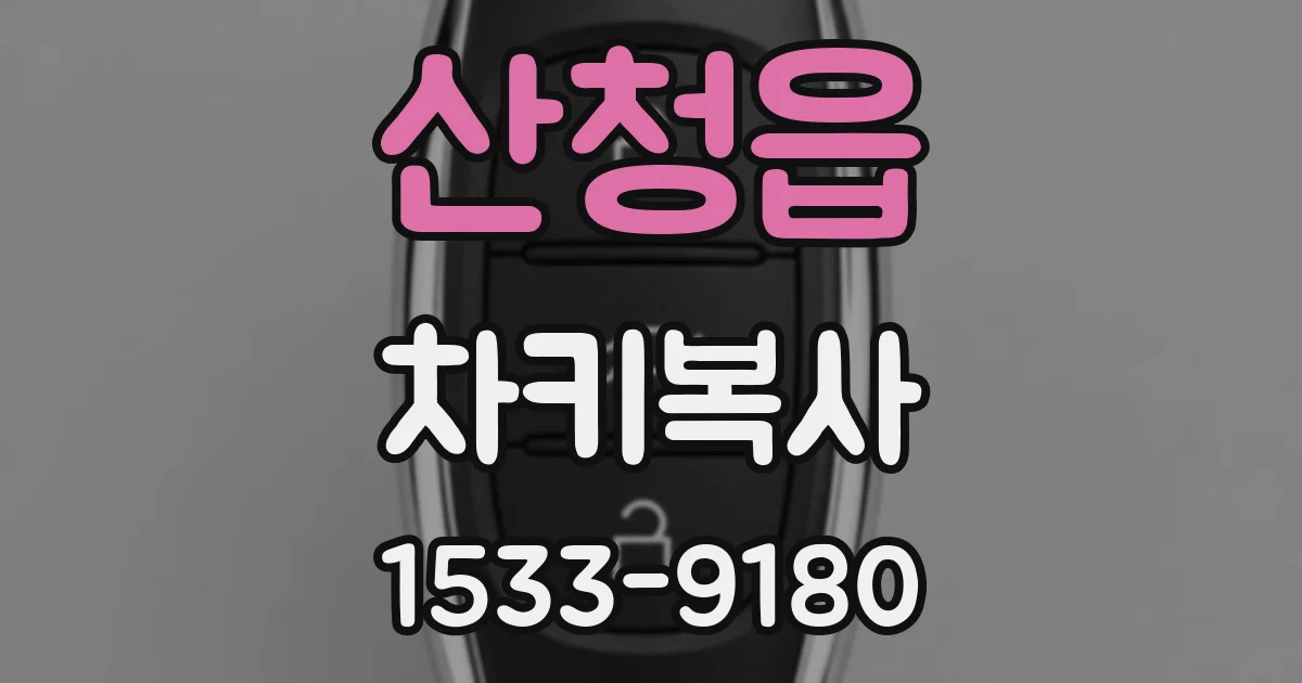 산청읍 차키복사