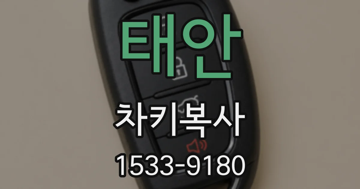 태안 차키복사