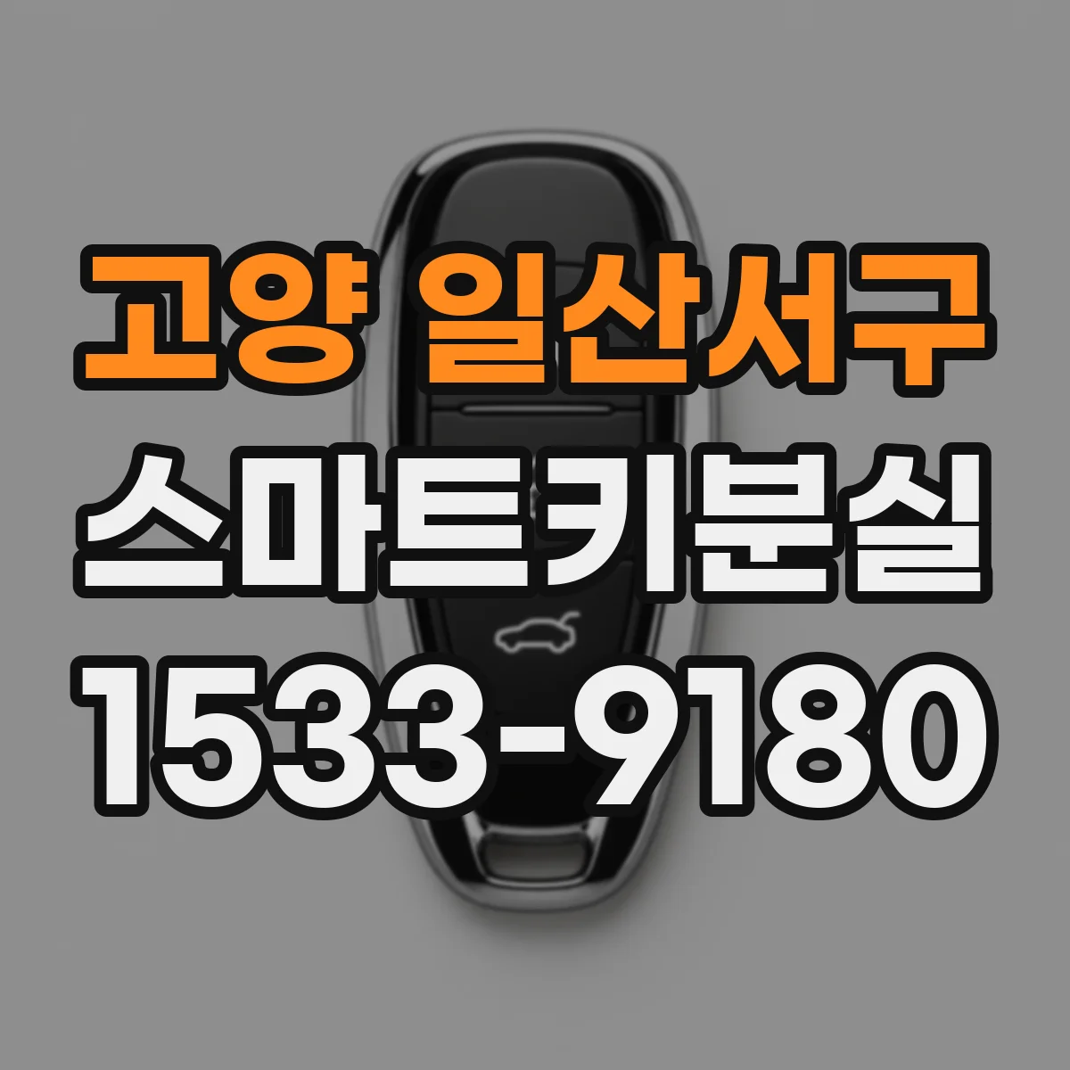 고양 일산서구 스마트키분실