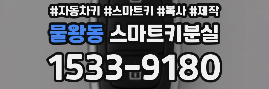물왕동 스마트키분실