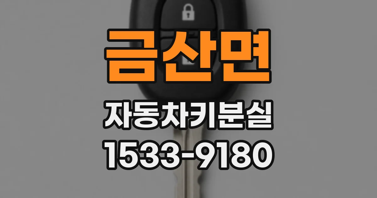 금산면 자동차키분실