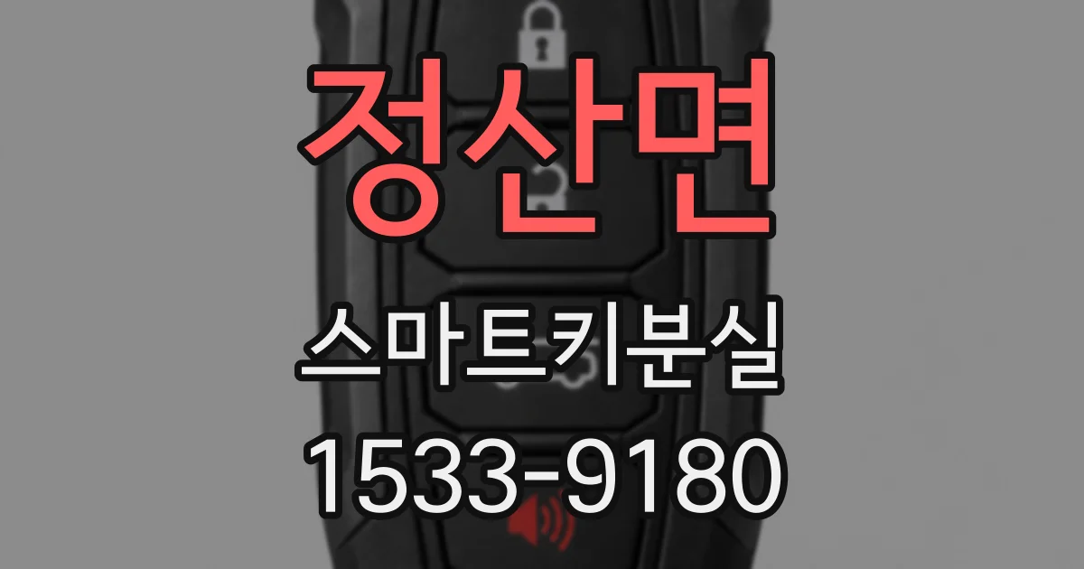 정산면 스마트키분실
