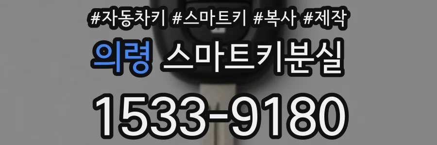 의령 스마트키분실