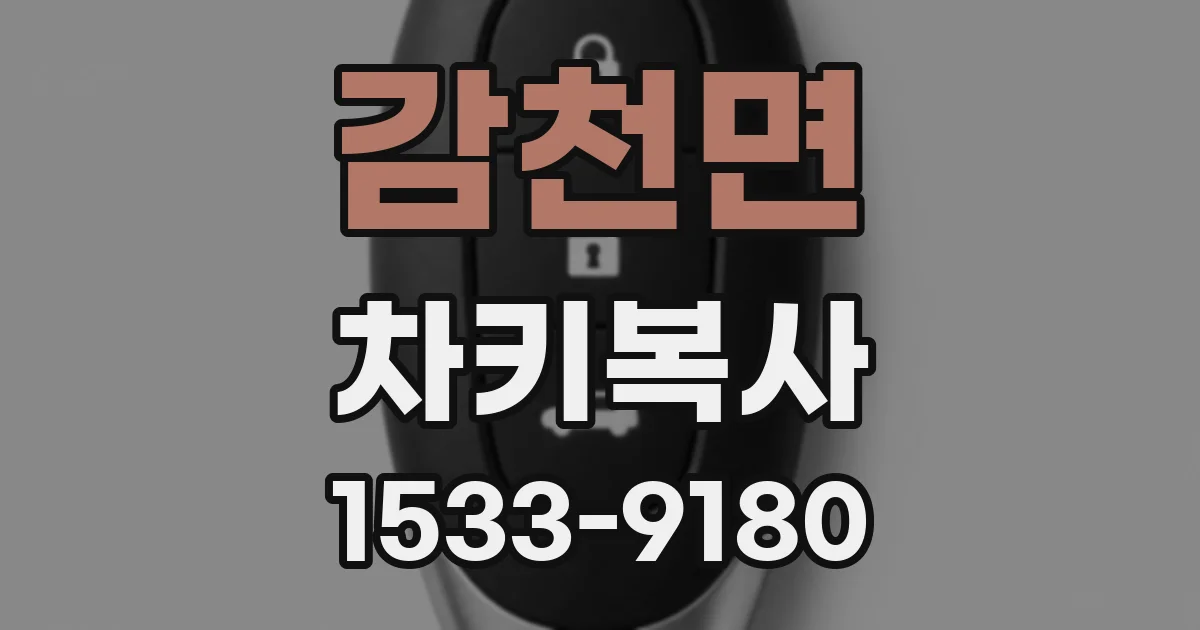 감천면 차키복사