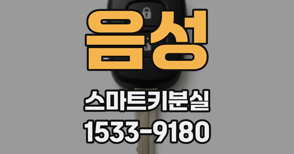 음성 스마트키분실