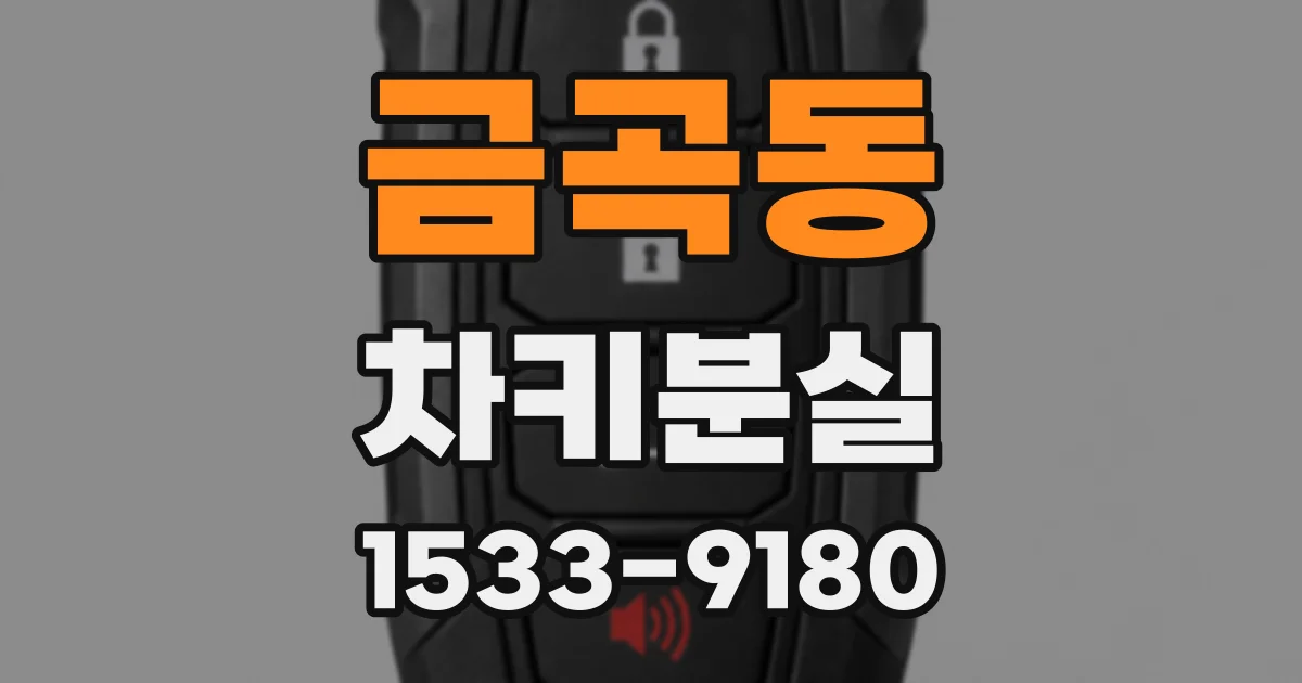 금곡동 차키분실