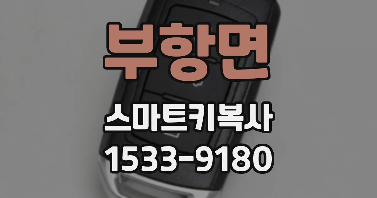 부항면 스마트키복사