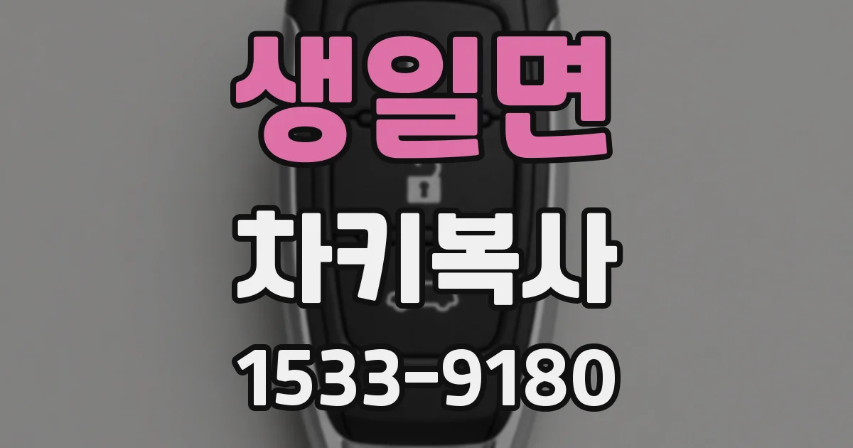 생일면 차키복사