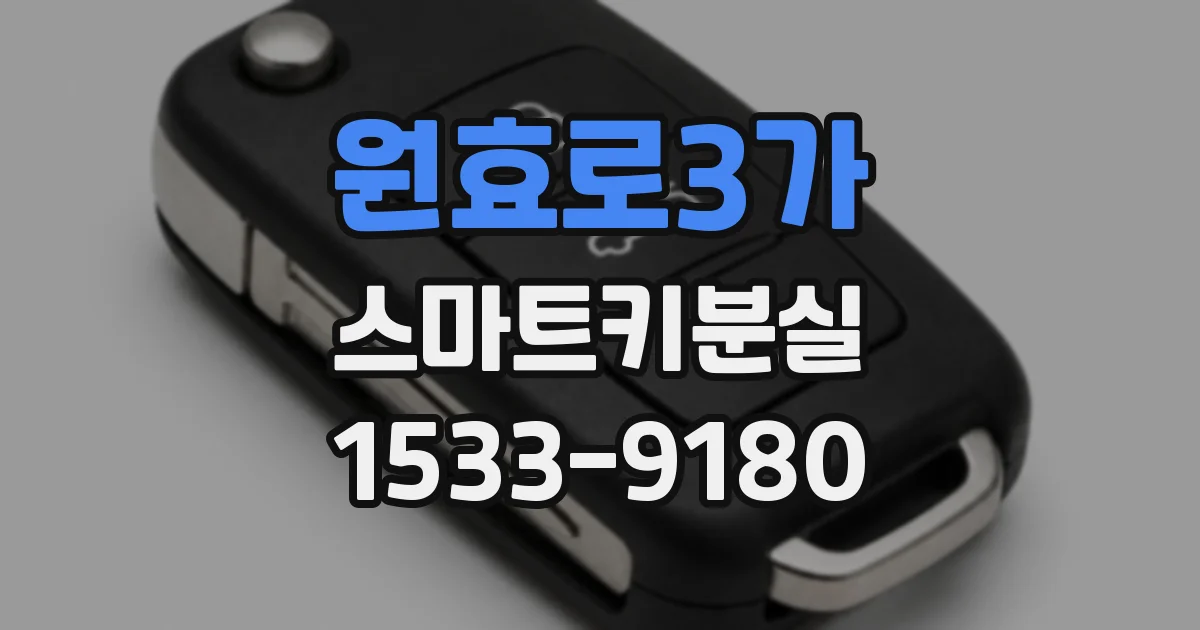 원효로3가 스마트키분실