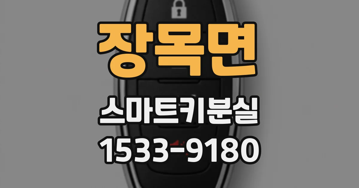 장목면 스마트키분실