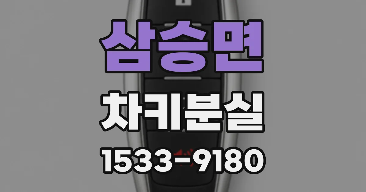 삼승면 차키분실