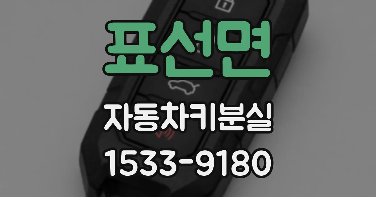표선면 자동차키분실