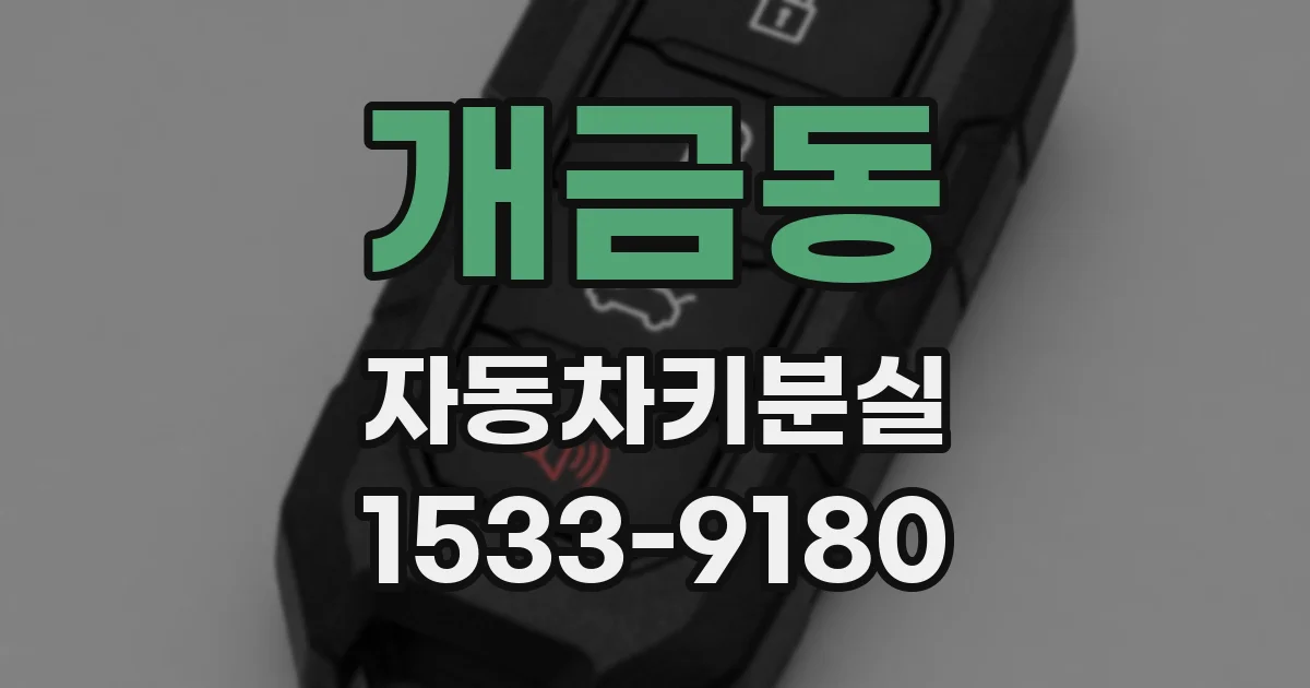 개금동 자동차키분실